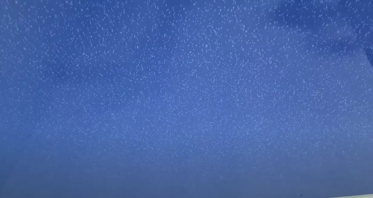 Воронеж, Вайцеховского, 4, фото 3